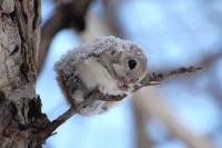 Лоли's Photo